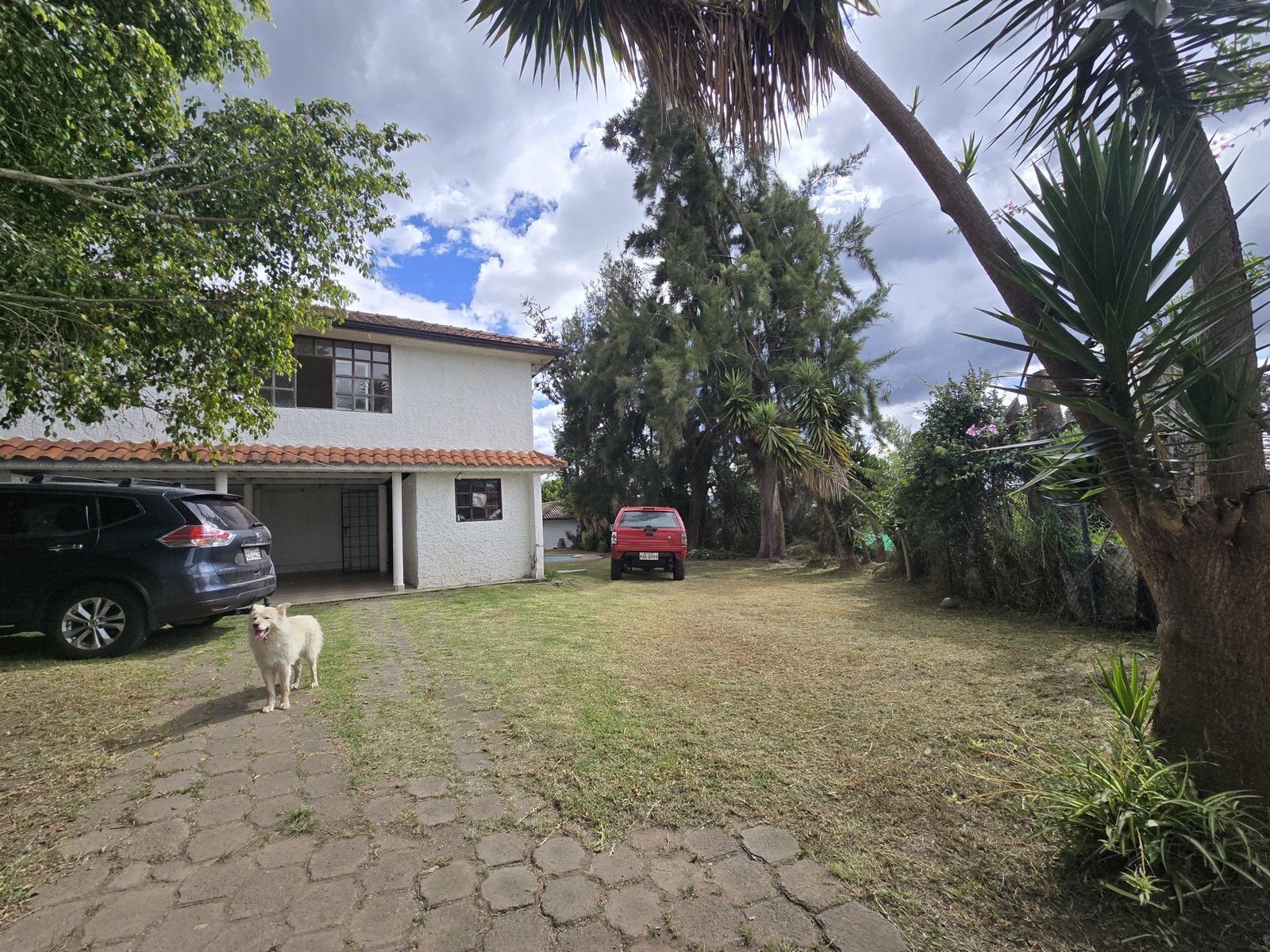 Imagen 2