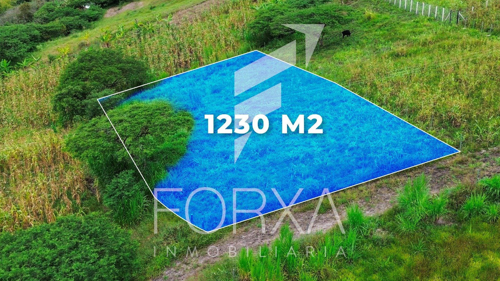 Terreno en Venta, Sector Paz de Portovelo, Yunguilla