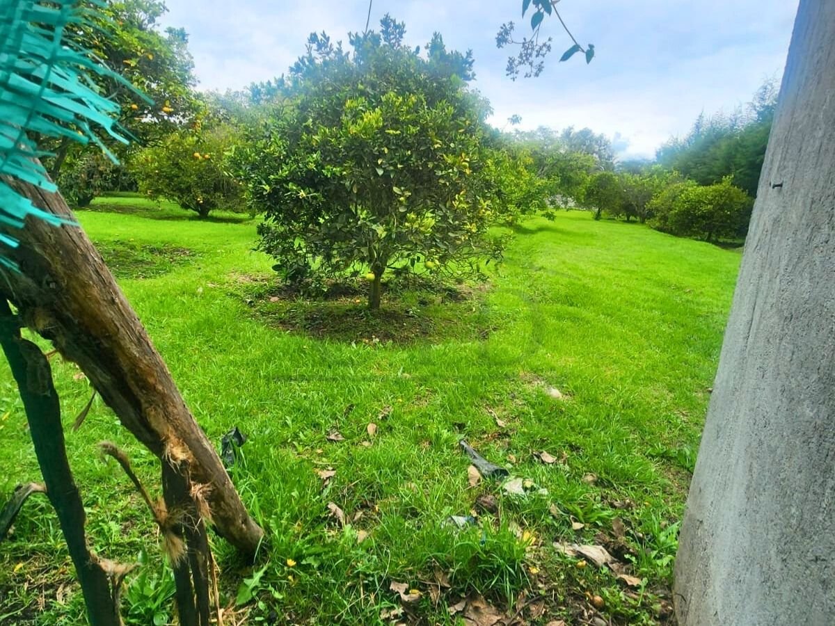 Venta de Terreno 2.304 m² con casa funcional en Guayllabamba