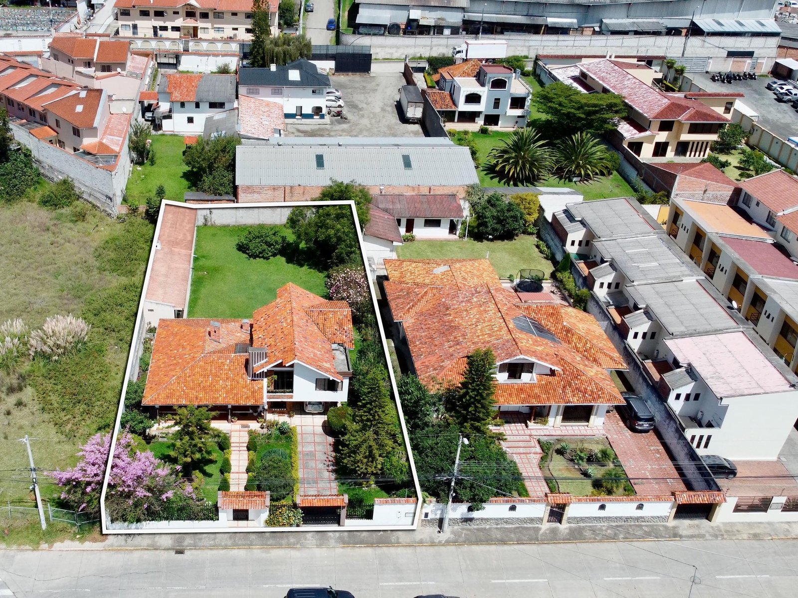 Imagen 2