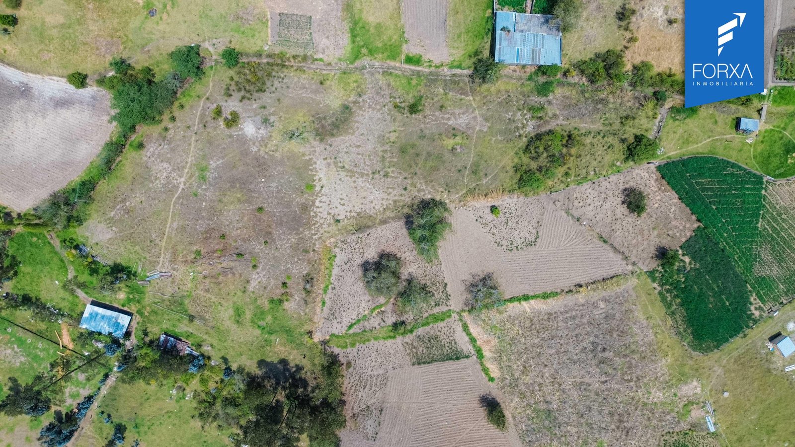 Amplio Terreno de Venta en Paccha, Sector Cañaropucacocha, Cuenca - Imagen 2